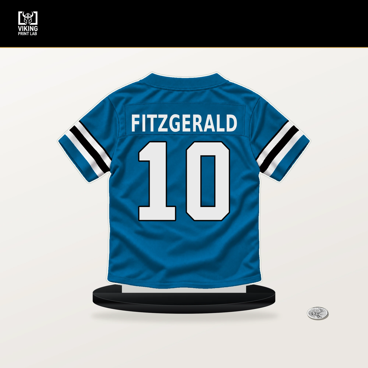Ryan Fitzgerald number 10 Carolina Panthers jersey stand with included black base.
