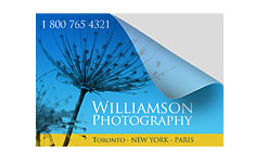 Individual printed label with one corner lifted to show its backing; example design only. Final stock, dimensions, adhesive and artwork confirmed with your quote.