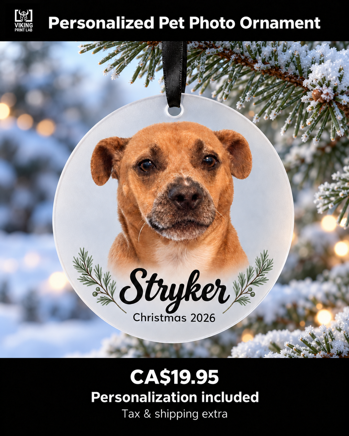 Personalized round frosted acrylic pet photo ornament featuring Stryker with a black ribbon on a snowy evergreen branch.