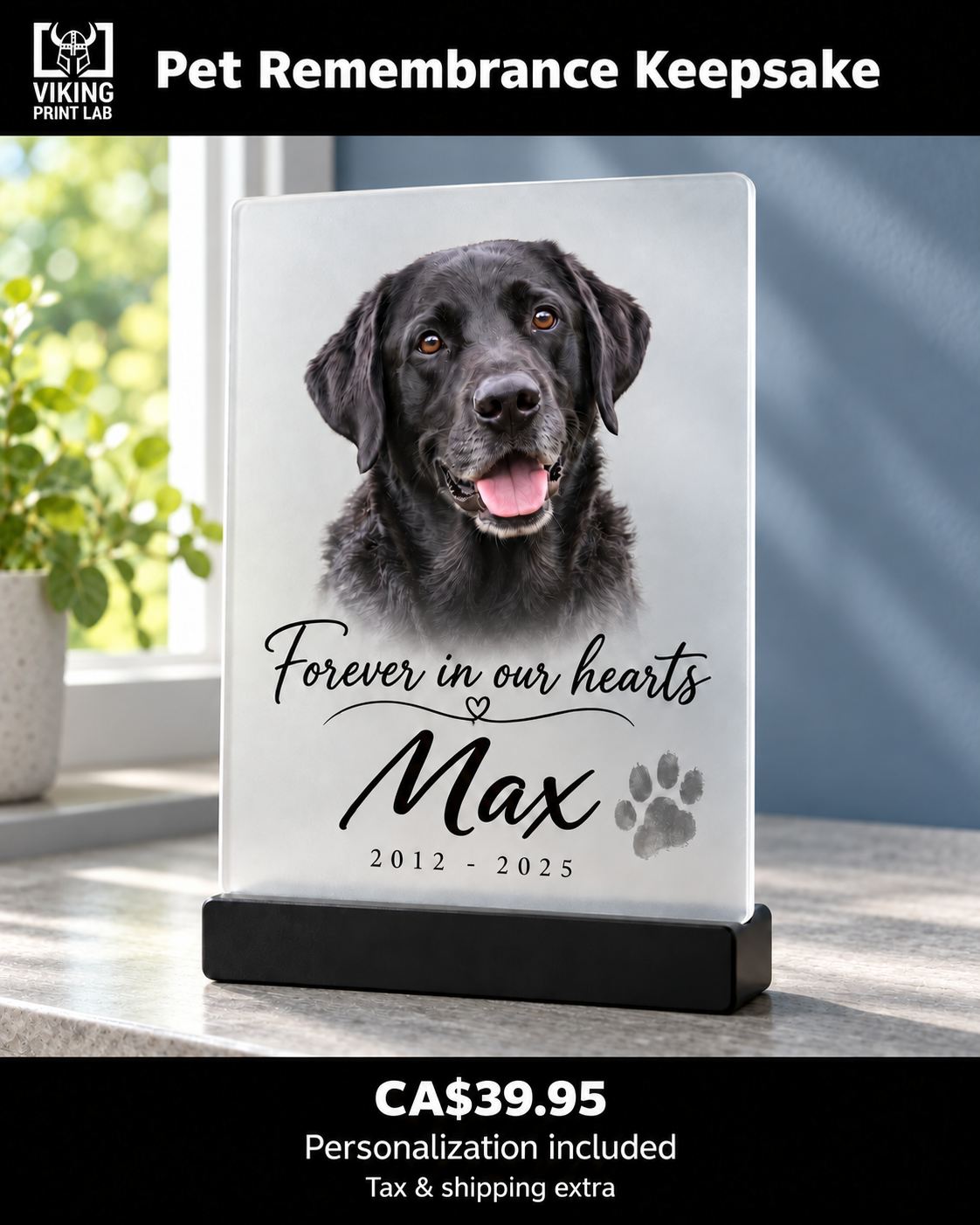 Frosted acrylic pet remembrance keepsake for example pet Max, with a black stand beside a calm window nook.