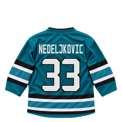San Jose Sharks jersey keychain — Alex Nedeljkovic #33. Exact saved player artwork preview.