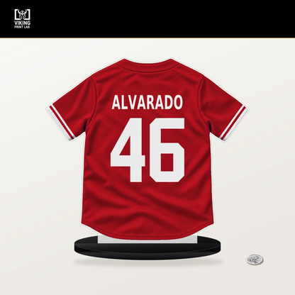 Jose Alvarado number 46 Philadelphia Phillies jersey stand with included black base.