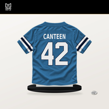 Derrick Canteen number 42 Tennessee Titans jersey stand with included black base.