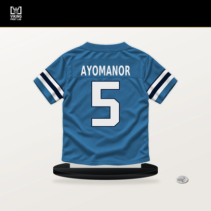 Elic Ayomanor number 5 Tennessee Titans jersey stand with included black base.