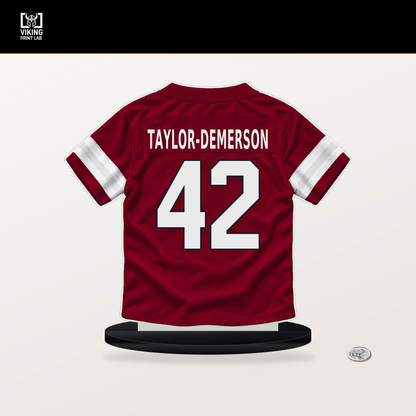 Dadrion Taylor-Demerson number 42 Arizona Cardinals jersey stand with included black base.
