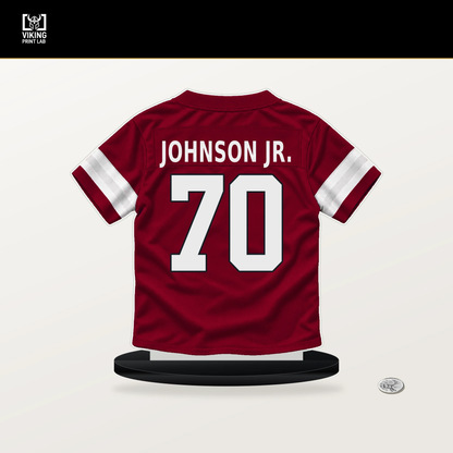 Paris Johnson Jr. number 70 Arizona Cardinals jersey stand with included black base.