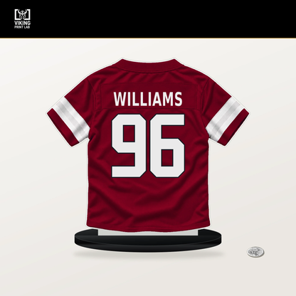 Damonic Williams number 96 Arizona Cardinals jersey stand with included black base.