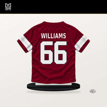 Jayden Williams number 66 Arizona Cardinals jersey stand with included black base.
