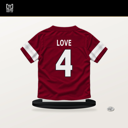 Jeremiyah Love number 4 Arizona Cardinals jersey stand with included black base.
