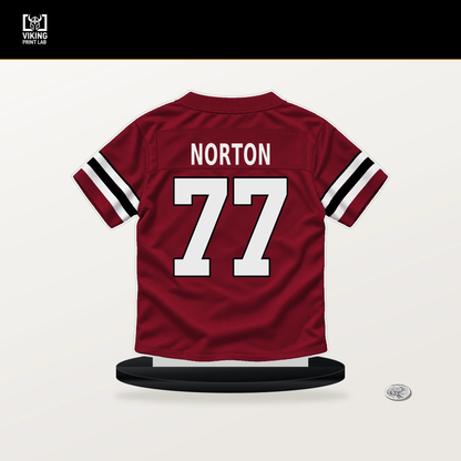 Storm Norton number 77 Atlanta Falcons jersey stand with included black base.