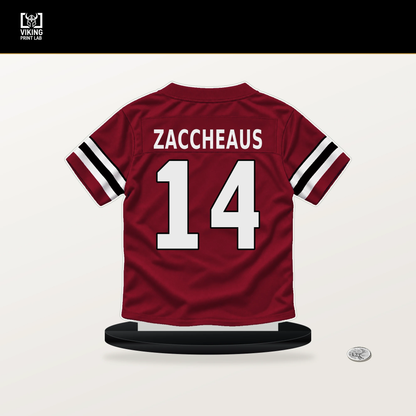 Olamide Zaccheaus number 14 Atlanta Falcons jersey stand with included black base.