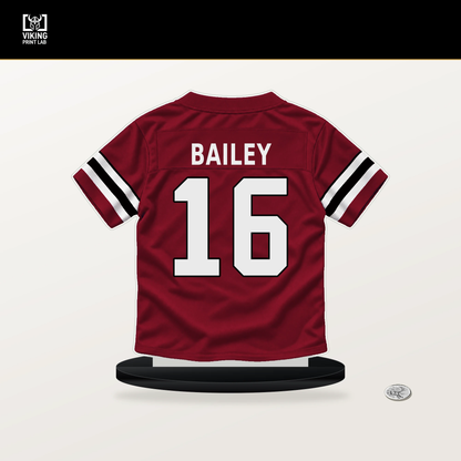 Jake Bailey number 16 Atlanta Falcons jersey stand with included black base.