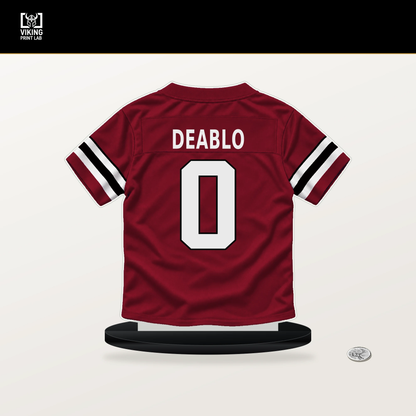 Divine Deablo number 0 Atlanta Falcons jersey stand with included black base.