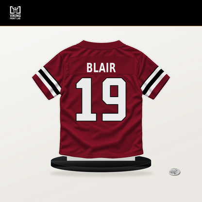 Chris Blair number 19 Atlanta Falcons jersey stand with included black base.