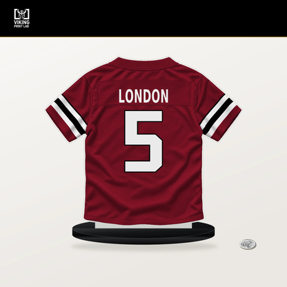 Drake London number 5 Atlanta Falcons jersey stand with included black base.