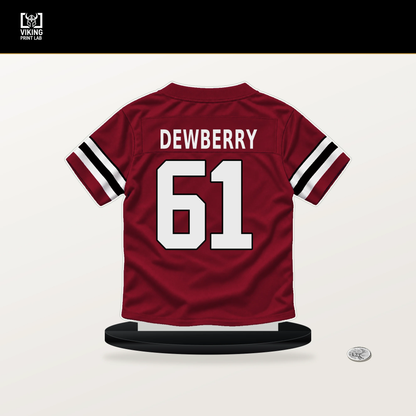 Kam Dewberry number 61 Atlanta Falcons jersey stand with included black base.