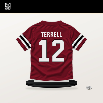 Avieon Terrell number 12 Atlanta Falcons jersey stand with included black base.