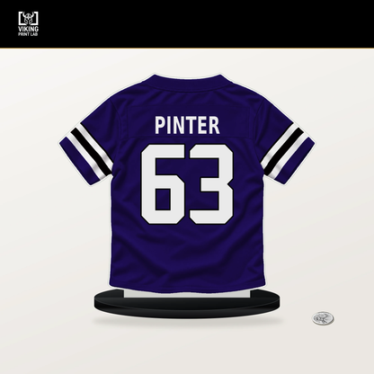 Danny Pinter number 63 Baltimore Ravens jersey stand with included black base.
