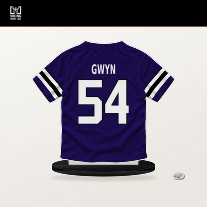 Jovaughn Gwyn number 54 Baltimore Ravens jersey stand with included black base.