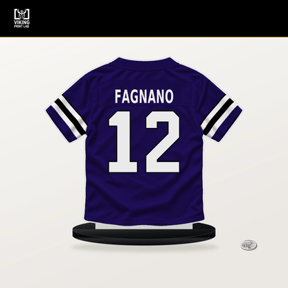Joe Fagnano number 12 Baltimore Ravens jersey stand with included black base.