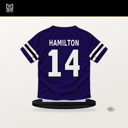 Kyle Hamilton number 14 Baltimore Ravens jersey stand with included black base.