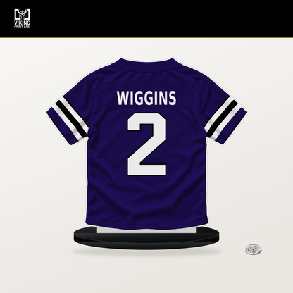 Nate Wiggins number 2 Baltimore Ravens jersey stand with included black base.