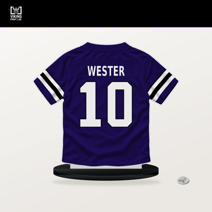LaJohntay Wester number 10 Baltimore Ravens jersey stand with included black base.