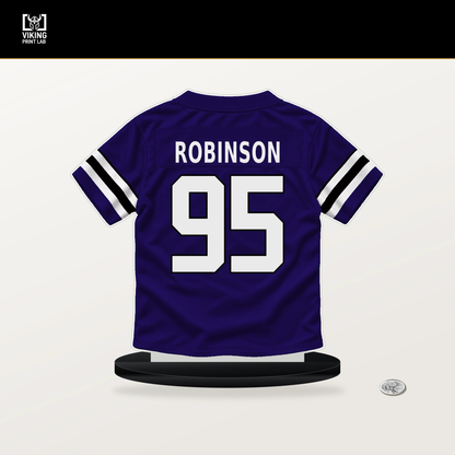 Tavius Robinson number 95 Baltimore Ravens jersey stand with included black base.