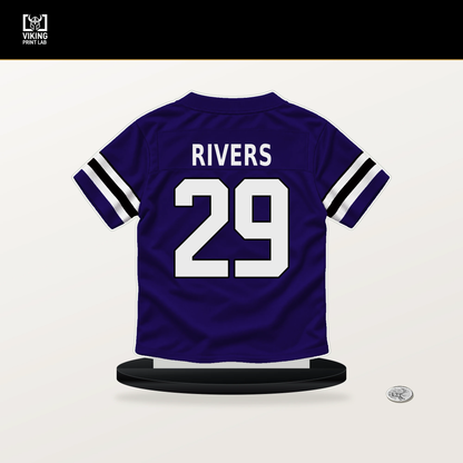 Chandler Rivers number 29 Baltimore Ravens jersey stand with included black base.