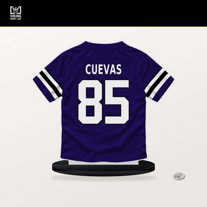 Josh Cuevas number 85 Baltimore Ravens jersey stand with included black base.