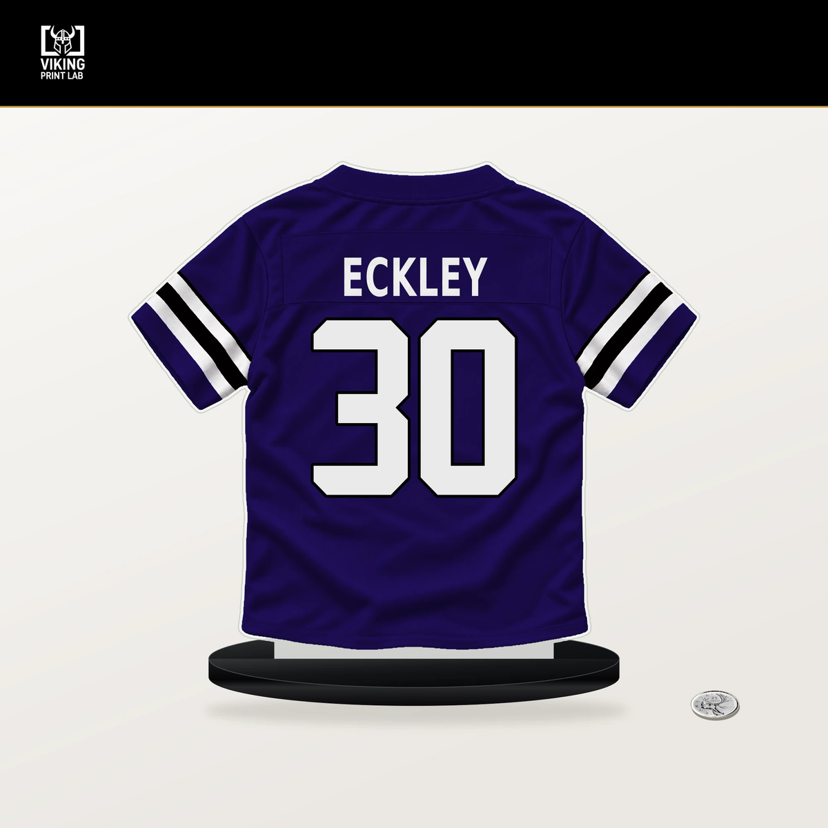 Ryan Eckley number 30 Baltimore Ravens jersey stand with included black base.