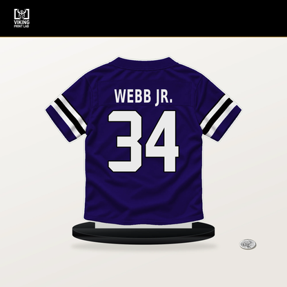 Lardarius Webb Jr. number 34 Baltimore Ravens jersey stand with included black base.