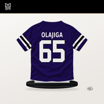 David Olajiga number 65 Baltimore Ravens jersey stand with included black base.