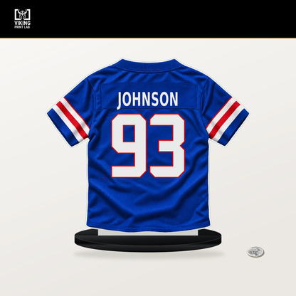 Austin Johnson number 93 Buffalo Bills jersey stand with included black base.