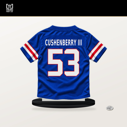 Lloyd Cushenberry III number 53 Buffalo Bills jersey stand with included black base.