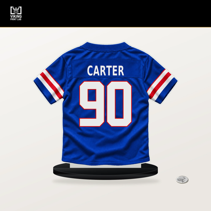 DeWayne Carter number 90 Buffalo Bills jersey stand with included black base.