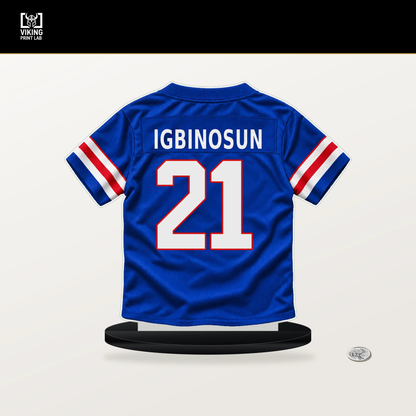 Davison Igbinosun number 21 Buffalo Bills jersey stand with included black base.