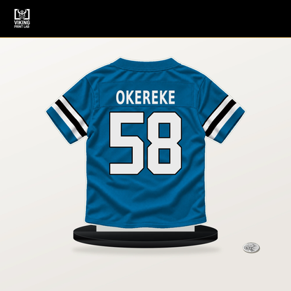 Bobby Okereke number 58 Carolina Panthers jersey stand with included black base.