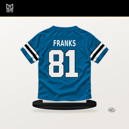 Feleipe Franks number 81 Carolina Panthers jersey stand with included black base.