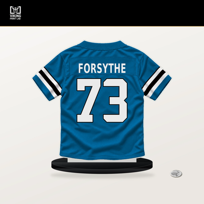 Stone Forsythe number 73 Carolina Panthers jersey stand with included black base.