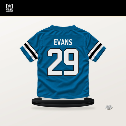 Akayleb Evans number 29 Carolina Panthers jersey stand with included black base.