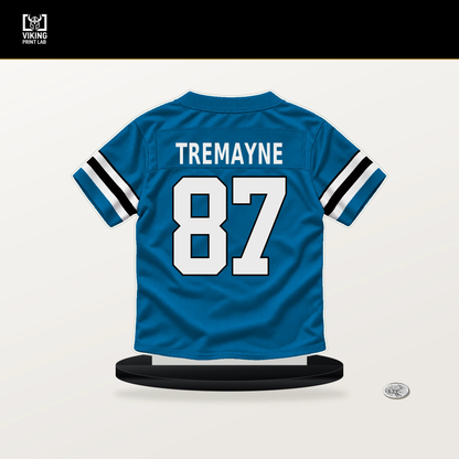 Brycen Tremayne number 87 Carolina Panthers jersey stand with included black base.