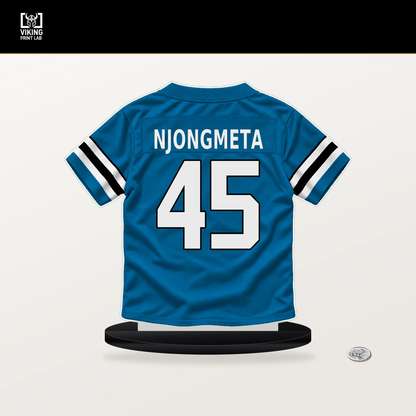 Maema Njongmeta number 45 Carolina Panthers jersey stand with included black base.