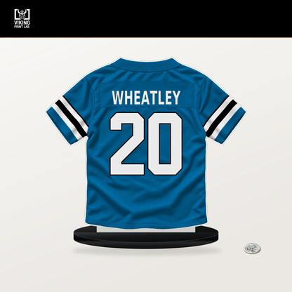 Zakee Wheatley number 20 Carolina Panthers jersey stand with included black base.