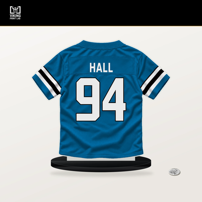 Aaron Hall number 94 Carolina Panthers jersey stand with included black base.