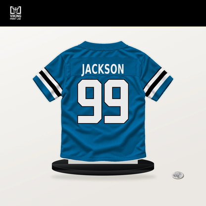 Cam Jackson number 99 Carolina Panthers jersey stand with included black base.