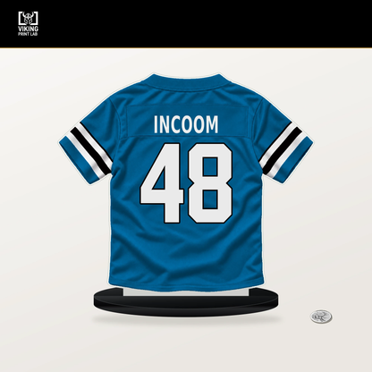 Thomas Incoom number 48 Carolina Panthers jersey stand with included black base.