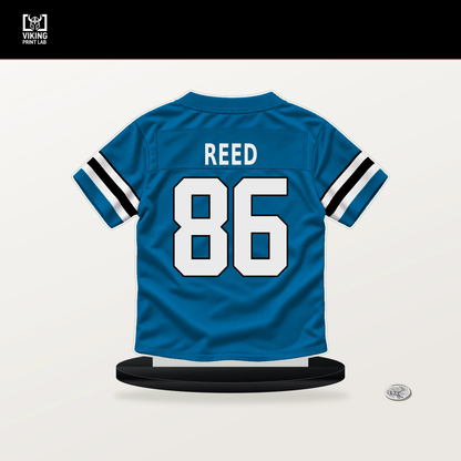 Ja'seem Reed number 86 Carolina Panthers jersey stand with included black base.