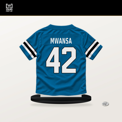 Mapalo Mwansa number 42 Carolina Panthers jersey stand with included black base.