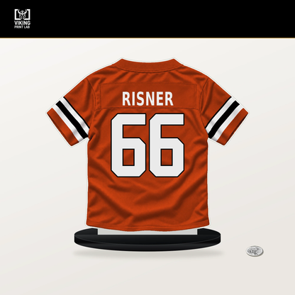 Dalton Risner number 66 Cincinnati Bengals jersey stand with included black base.